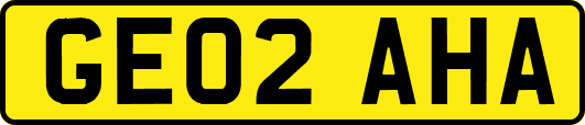 GE02AHA