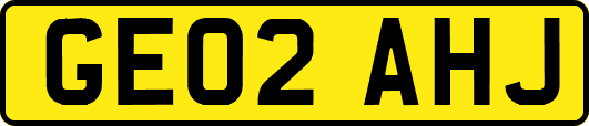 GE02AHJ
