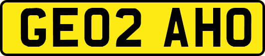 GE02AHO
