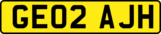 GE02AJH
