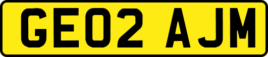 GE02AJM