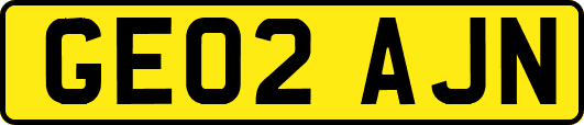 GE02AJN
