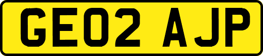 GE02AJP