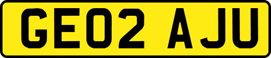 GE02AJU