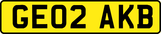 GE02AKB
