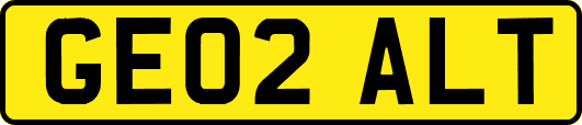 GE02ALT