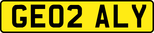GE02ALY