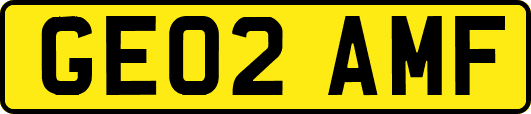 GE02AMF