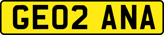 GE02ANA
