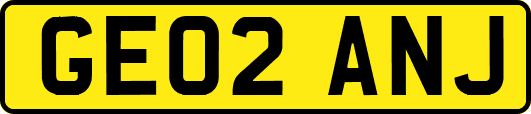 GE02ANJ