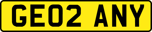 GE02ANY