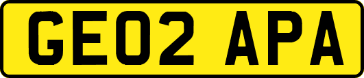 GE02APA