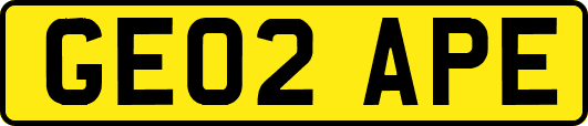 GE02APE