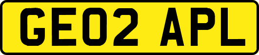 GE02APL