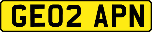 GE02APN