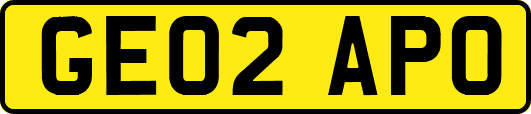 GE02APO