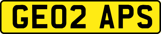 GE02APS