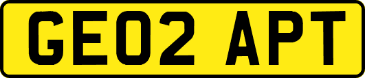 GE02APT