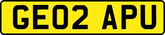 GE02APU