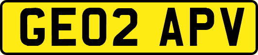 GE02APV