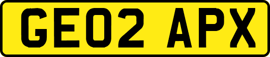 GE02APX