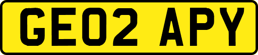 GE02APY