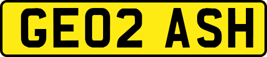 GE02ASH