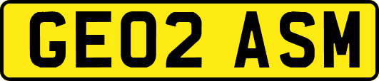 GE02ASM