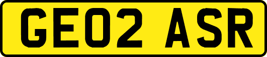 GE02ASR