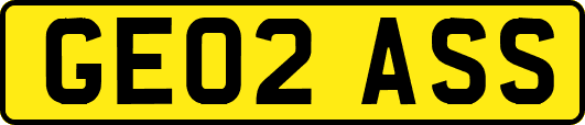 GE02ASS