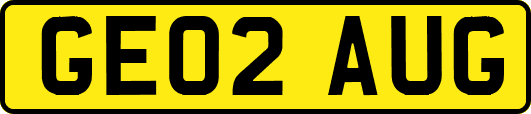GE02AUG