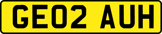 GE02AUH
