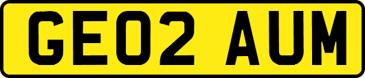 GE02AUM