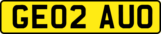 GE02AUO