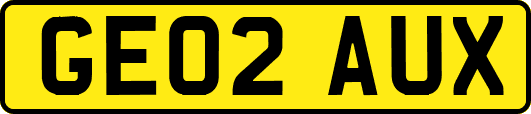 GE02AUX