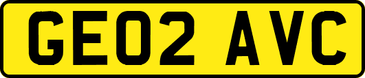 GE02AVC