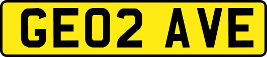 GE02AVE
