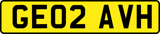 GE02AVH