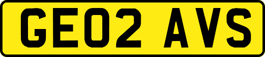 GE02AVS