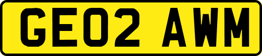 GE02AWM