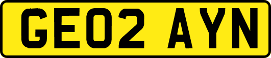 GE02AYN