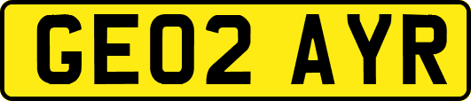 GE02AYR