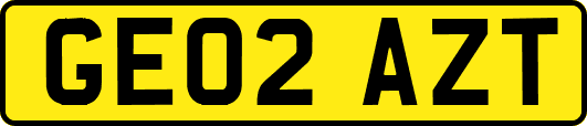 GE02AZT