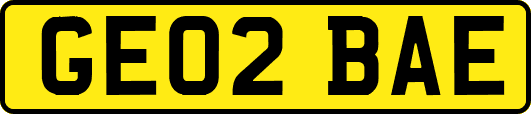 GE02BAE