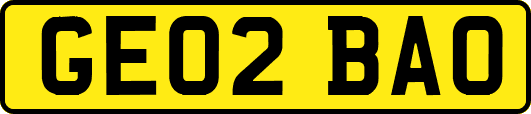 GE02BAO