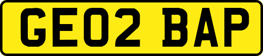 GE02BAP