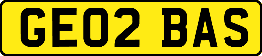 GE02BAS
