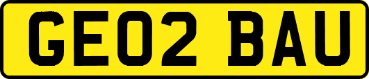 GE02BAU