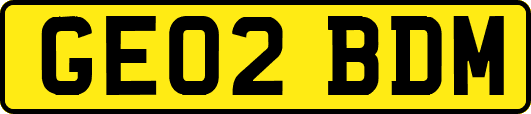GE02BDM