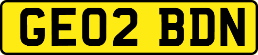 GE02BDN